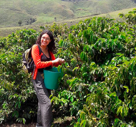 coffee andes mountains tour