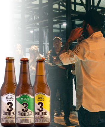 Tour cervecero: la experiencia on-line