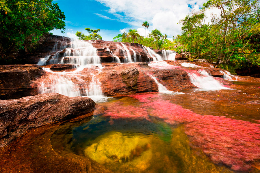 cano cristales colombia